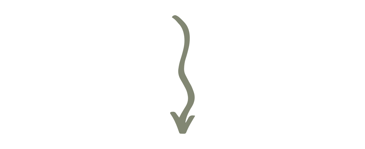 Copy of Arrow (Nova).png